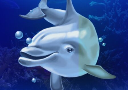 Схема обыгрыша слота Dolphin’s Pearl